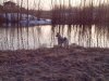IMG_20130422_193802.jpg