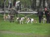 DSCF2063.JPG