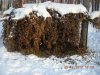 DSCN0925.JPG