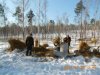 DSCN4011.JPG
