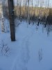 DSC02709.JPG