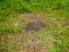 DSCN1141_1.JPG