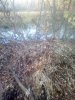IMG_20181007_175334.jpg