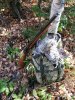 IMG_20181006_120109.jpg