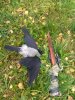 IMG_20181008_102304.jpg