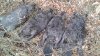 20181005_135309.jpg