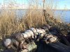 IMG_1770.JPG