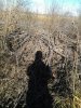 IMG_20181015_145012.jpg