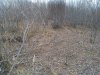 IMG_20181016_090511.jpg
