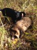 IMG-20180928-WA0004.jpg