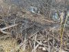 IMG_20181020_131228.jpg