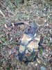 IMG_20181020_125225.jpg