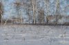 IMG_1399.JPG