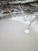 IMG_20181105_125536.jpg