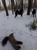 20181112_161619.jpg