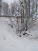 IMG_20181106_162503.jpg