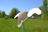 DSC_8438.JPG