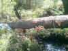 IMG_20170906_132149.jpg