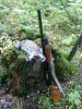 IMG_20170914_151056.jpg