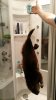 IMG-20181205-WA0016.jpg