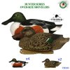 комплект_чучел_утки_широконоска_Гринхед_Овер_Сайз_утколов_73010__GHG_duck_подсадная.jpg