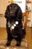 IMG-20181226-WA0000.jpg