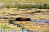 IMG-20180907-WA0005.jpg