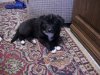 PIC_0518.JPG