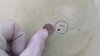 IMG-20180531-WA0034.jpeg