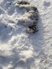 20190103_125345.jpg