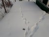 20190106_154943.jpg