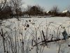 20190106_154918.jpg