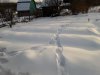 20190106_154835.jpg