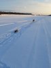 20190110_161604.jpg