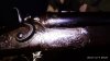 IMG-20181207-WA0003.jpg