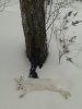 20181124_140225.jpg