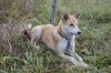 DSC04197.JPG