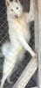 IMG-20190115-WA0095.jpg