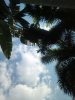 IMG_20190118_142528.jpg