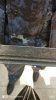 IMG-20190117-WA0001.jpg