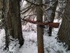 IMG_20181104_151519.jpg