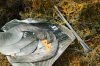 DSC01235.JPG