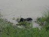 Гарант Подача с воды.JPG