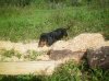 100_1337.JPG