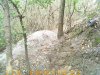 PTDC0029.jpg