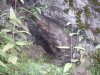 SDC10233.JPG