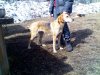 IMG098 сжат.jpg