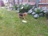 20130919_102620 сжат.jpg
