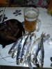 IMG_20190130_203117.jpg