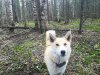 IMG-20180603-WA0003.jpg